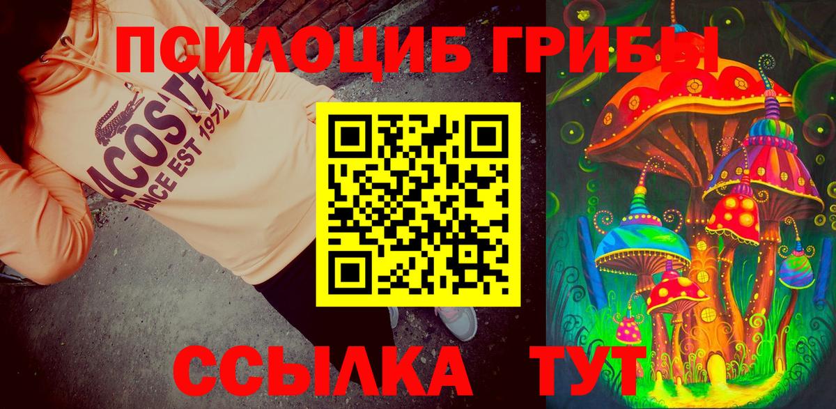 Псилоцибиновые грибы Psilocybe Тюмень