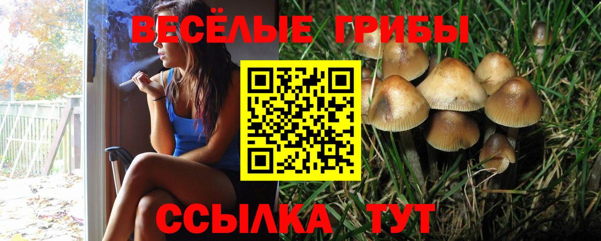 купить наркоту  Псилоцибиновые грибы мицелий  Вход с VPN  Тюмень 